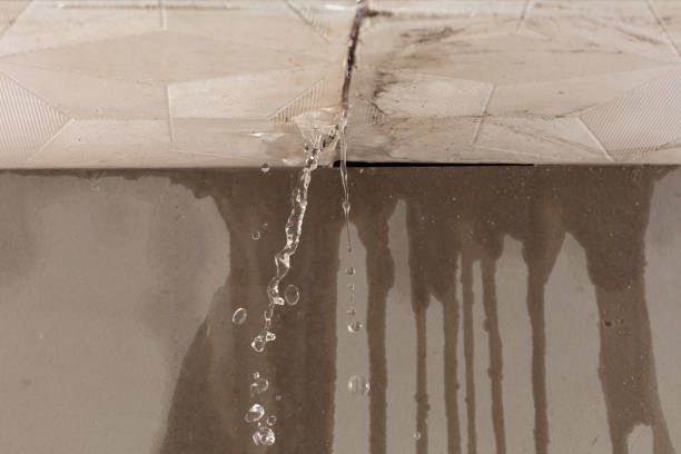 Professional Structural Drying technician working in Langhorne, PA